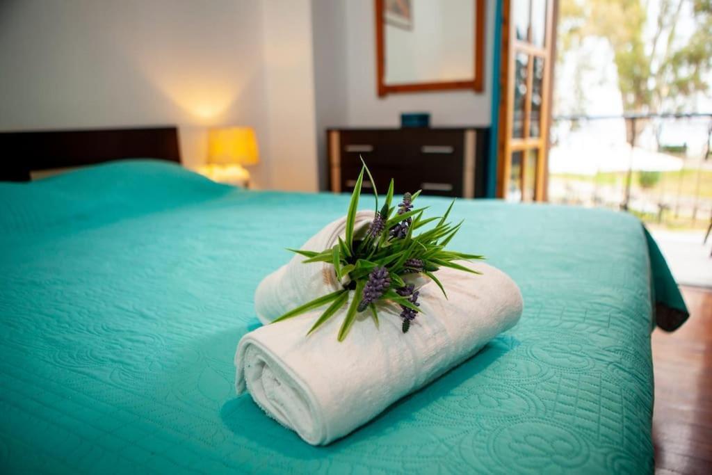 City Center, Sea View Apartment, Amelia! Anemomylos Ngoại thất bức ảnh