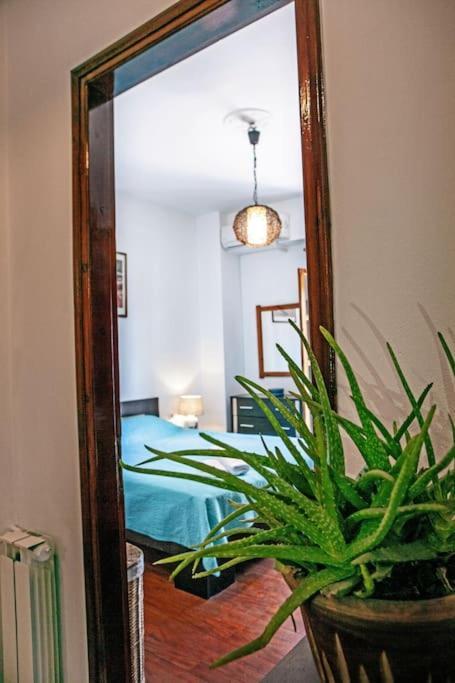 City Center, Sea View Apartment, Amelia! Anemomylos Ngoại thất bức ảnh